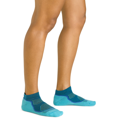 Women's Light Hiker No Show Lightweight Hiking Socks